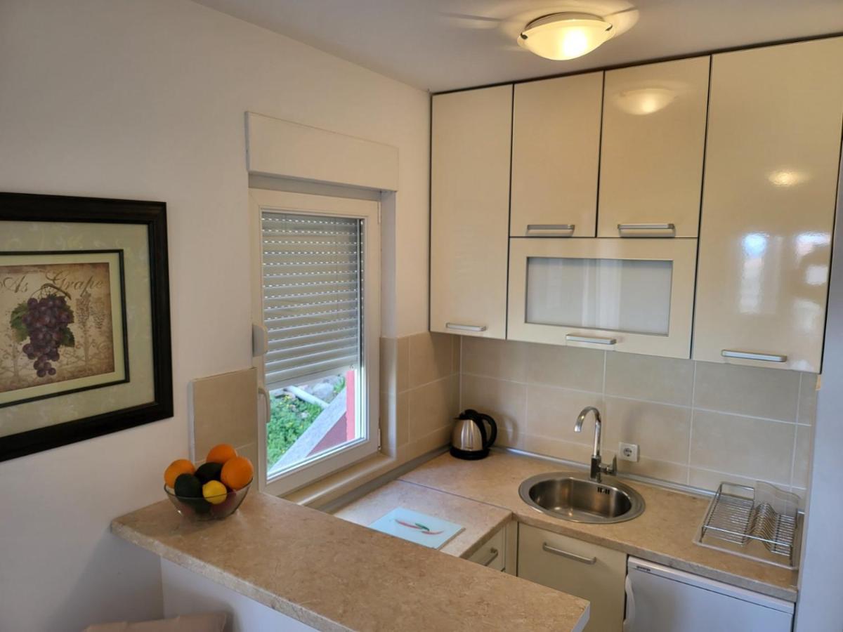 Apartment Rachel Petrovac 客房 照片